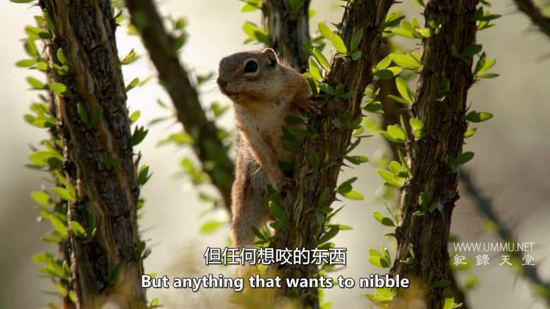 植物的力量 Power of Plants插图4