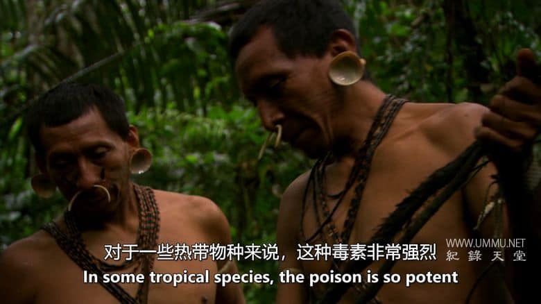 植物的力量 Power of Plants插图5