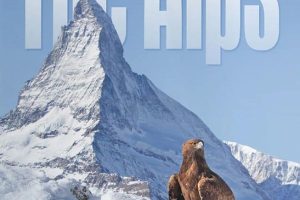 阿尔卑斯山 The Alps