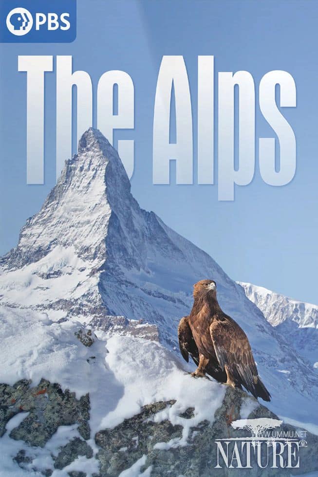 阿尔卑斯山 The Alps插图