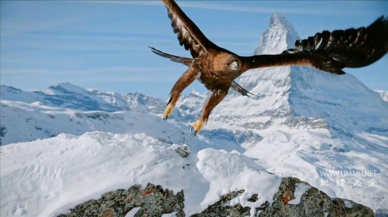 阿尔卑斯山 The Alps插图1