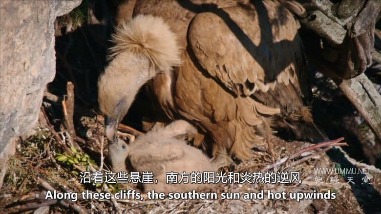 阿尔卑斯山 The Alps插图2