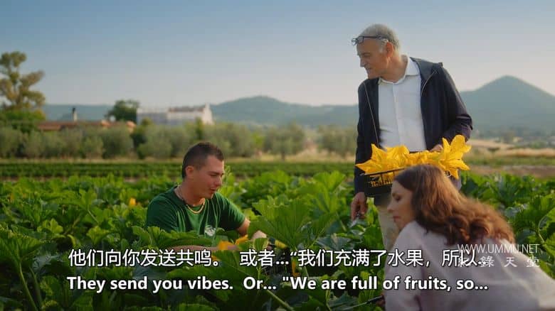 意大利面女王 The Pasta Queen插图2