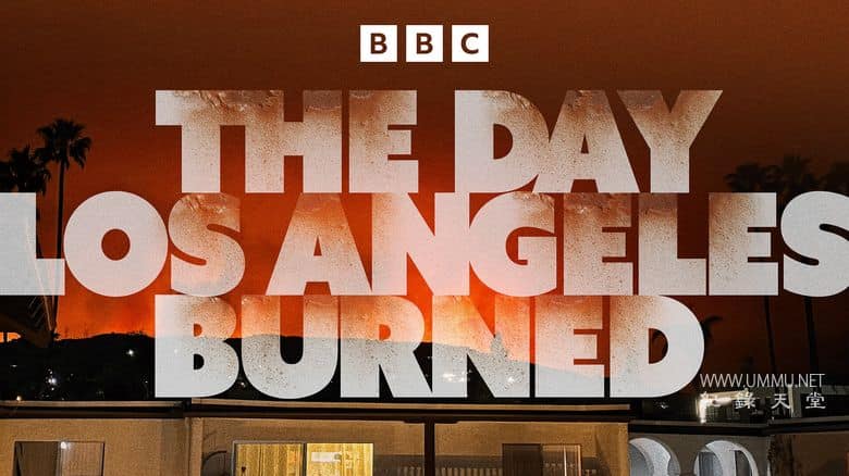洛杉矶大火的那天 The Day Los Angeles Burned插图1