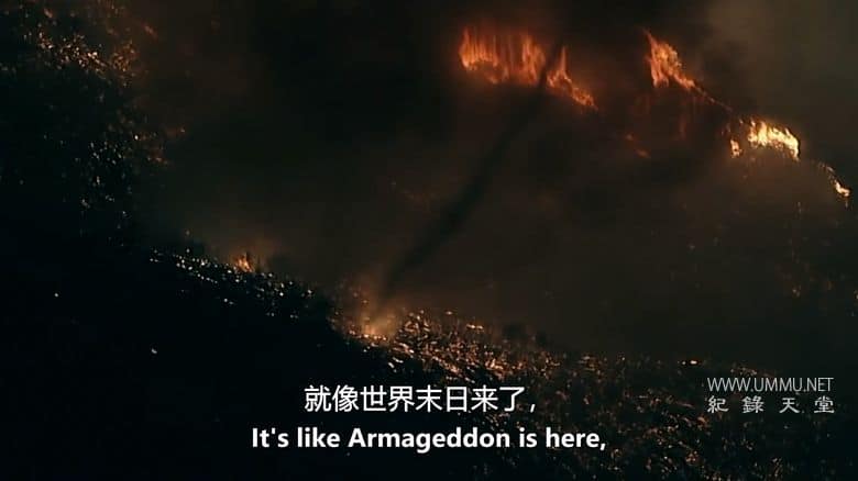 洛杉矶大火的那天 The Day Los Angeles Burned插图3