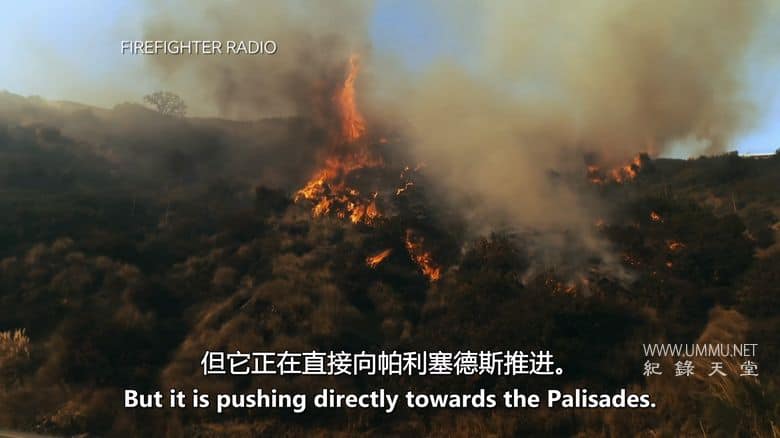洛杉矶大火的那天 The Day Los Angeles Burned插图4