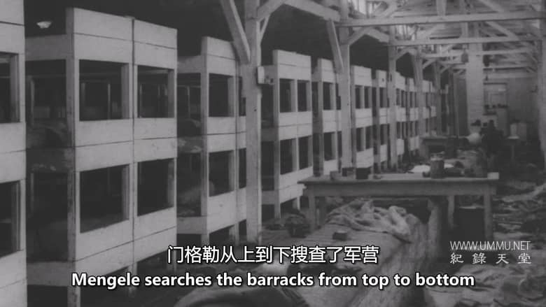 被遗忘的种族灭绝：二战中的欧洲吉普赛人 The Forgotten Genocide: Europe's Gypsies in World War II插图7