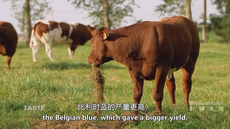 味觉猎人 Taste Hunters插图2