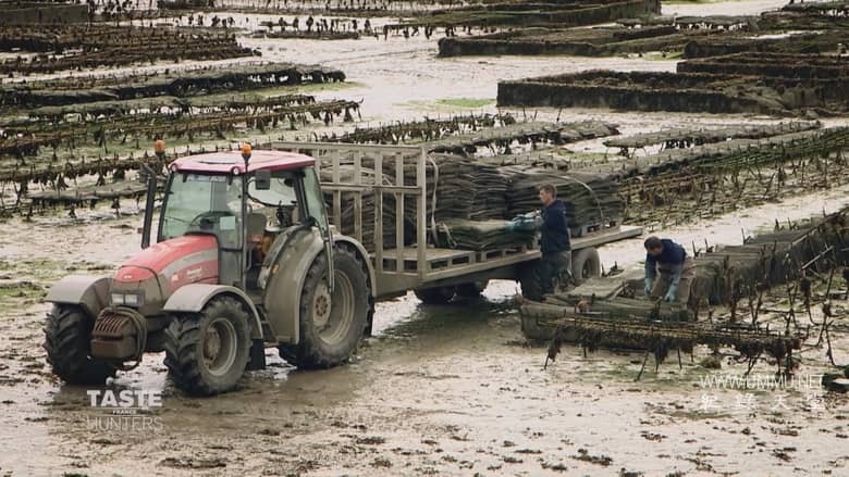 味觉猎人 Taste Hunters插图3