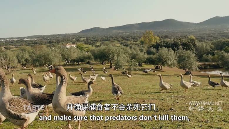 味觉猎人 Taste Hunters插图5