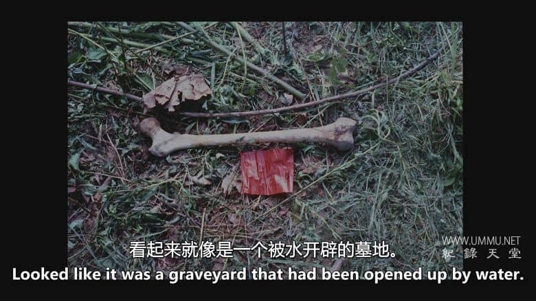 狐狸谷谋杀案：连环杀手的游乐场 The Fox Hollow Murders: Playground of a Serial Killer插图5