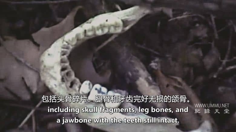 狐狸谷谋杀案：连环杀手的游乐场 The Fox Hollow Murders: Playground of a Serial Killer插图6