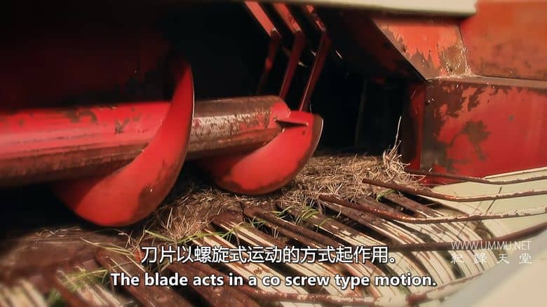 这个工作会死人 The Day my Job Tried to Kill Me插图6