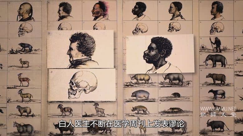 1619：美国奴隶起源 The 1619 Project插图1