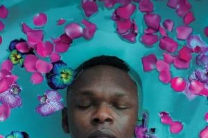 风格弯曲者 Stylebender