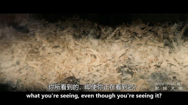 殡仪馆 The Mortician插图7