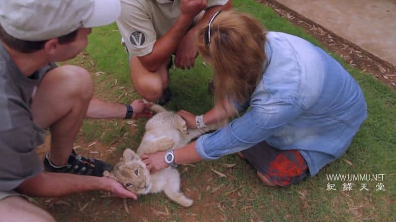 狮子女王 The Lion Queen插图4
