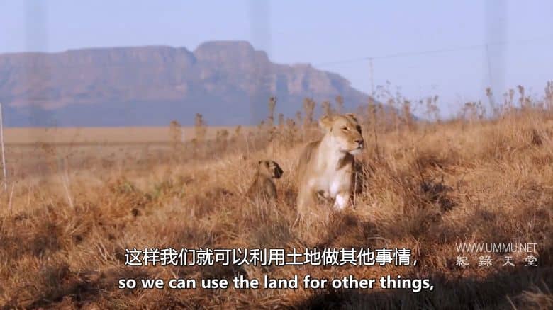 狮子女王 The Lion Queen插图6