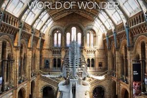 英国自然历史博物馆：神奇世界 Natural History Museum: World of Wonder