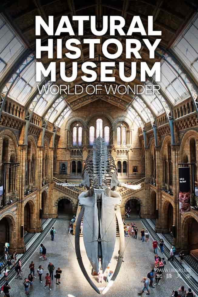 英国自然历史博物馆：神奇世界 Natural History Museum: World of Wonder插图