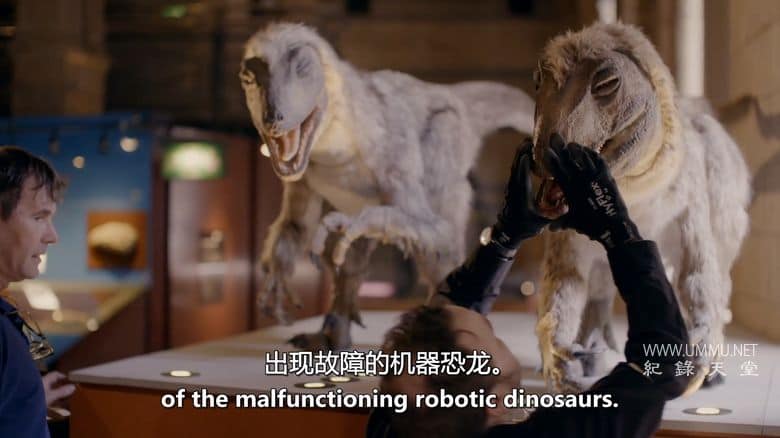 英国自然历史博物馆：神奇世界 Natural History Museum: World of Wonder插图2