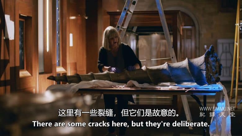 英国自然历史博物馆：神奇世界 Natural History Museum: World of Wonder插图3