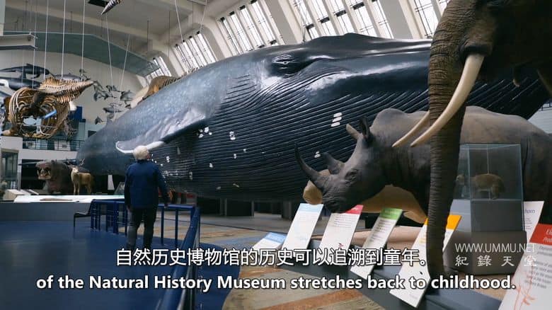 英国自然历史博物馆：神奇世界 Natural History Museum: World of Wonder插图5
