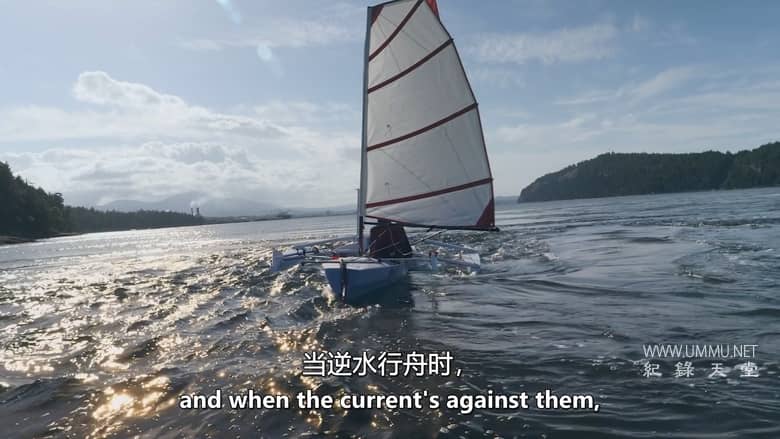 阿拉斯加竞赛 The Race to Alaska插图4