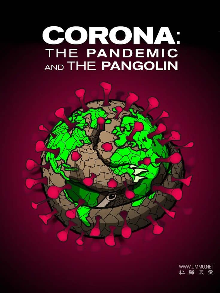 冠状病毒：流行病与穿山甲 Corona: The pandemic and the pangolin插图