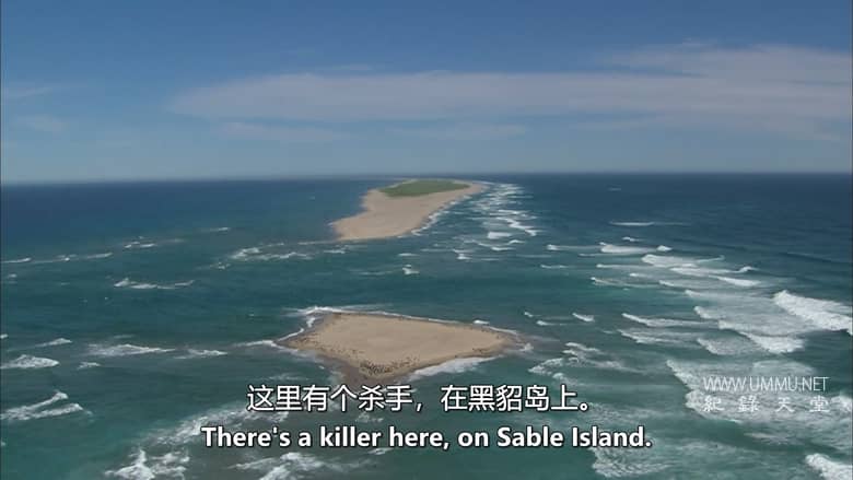 抓捕杀手：黑貂岛之谜 Catching a Killer: The Mystery of Sable Island插图2