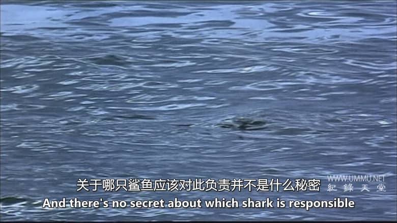 抓捕杀手：黑貂岛之谜 Catching a Killer: The Mystery of Sable Island插图4