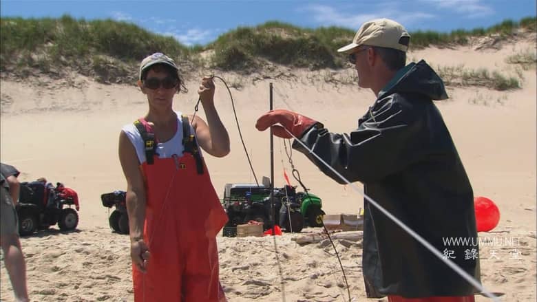 抓捕杀手：黑貂岛之谜 Catching a Killer: The Mystery of Sable Island插图6