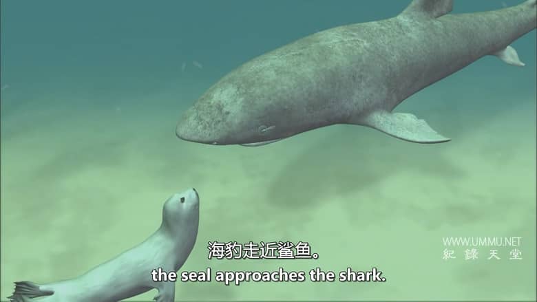 抓捕杀手：黑貂岛之谜 Catching a Killer: The Mystery of Sable Island插图8