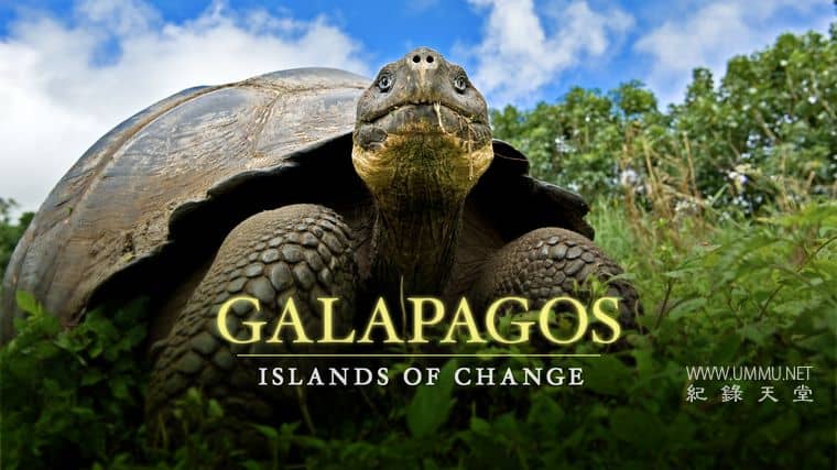 自然世界：加拉帕戈斯群岛的变化 Natural World: Galapagos – Islands Of Change插图1