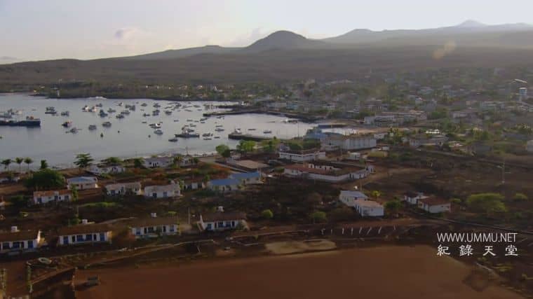 自然世界：加拉帕戈斯群岛的变化 Natural World: Galapagos – Islands Of Change插图3