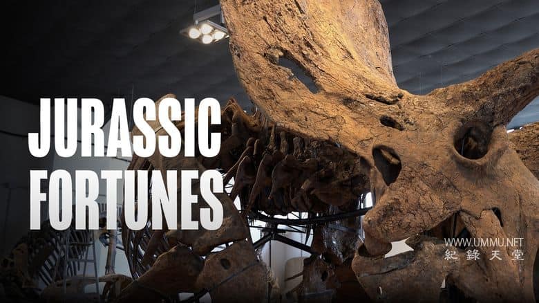 侏罗纪的财富 Jurassic Fortunes插图1