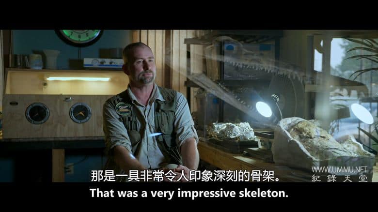 侏罗纪的财富 Jurassic Fortunes插图3