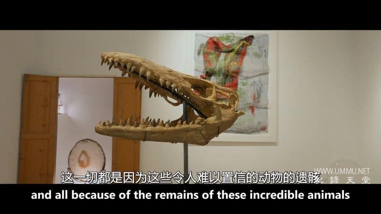 侏罗纪的财富 Jurassic Fortunes插图4