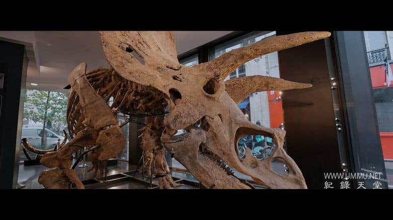 侏罗纪的财富 Jurassic Fortunes插图6