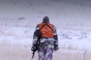 蒙大拿州荒野 Montana Wild