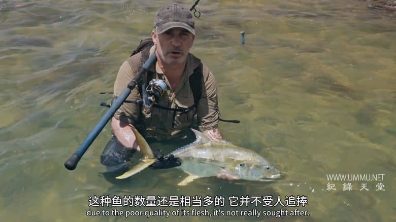 追踪巨型鱼 第三季全8集 Last of the Giants插图3