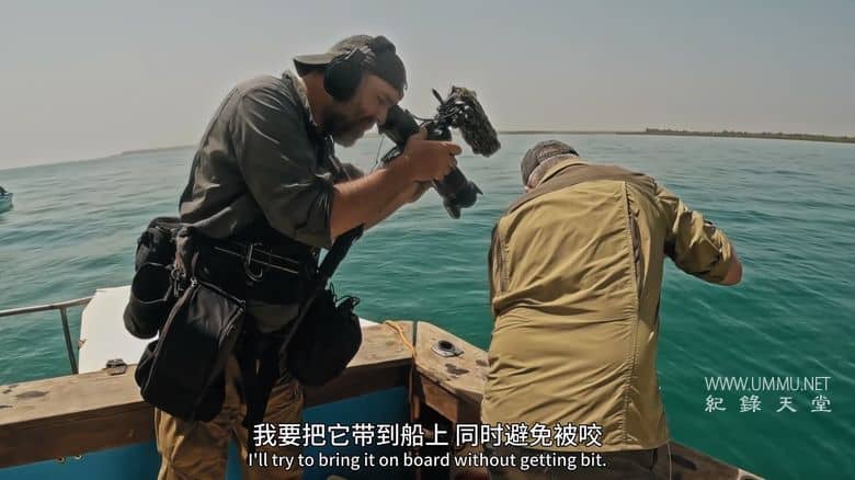 追踪巨型鱼 第三季全8集 Last of the Giants插图4