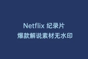 Netflix 纪录片 爆款解说素材无水印