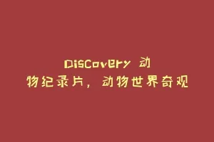 Discovery 动物纪录片,动物世界奇观缩略图 Discovery 动物纪录片,动物世界奇观