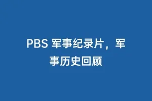 PBS 军事纪录片，军事历史回顾