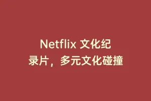 Netflix 文化纪录片，多元文化碰撞