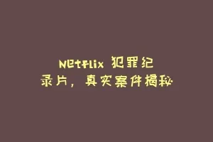 Netflix 犯罪纪录片，真实案件揭秘