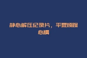 静心解压纪录片，平复烦躁心情