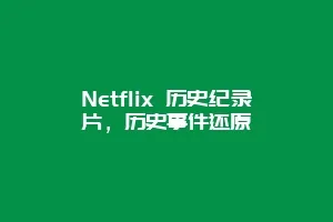 Netflix 历史纪录片,历史事件还原缩略图 Netflix 历史纪录片,历史事件还原