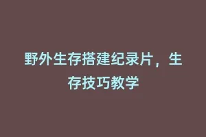 野外生存搭建纪录片，生存技巧教学